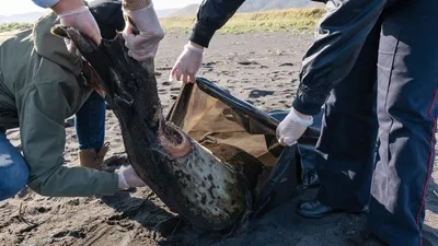 Загрязнение воды: причины, источники, последствия и пути решения