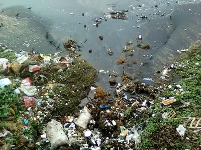 Загрязнение воды пластиковыми пакетами в парке Векторное изображение  ©blueringmedia 301740132