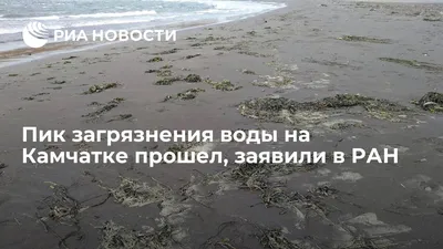 Загрязнение Воды: последние новости на сегодня, самые свежие сведения |  63.ru - новости Самары