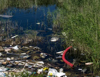 Негативные последствия загрязнения воды промышленными выбросами: что  делать, если произошла авария | Проектный институт «Экология Будущего» |  Дзен