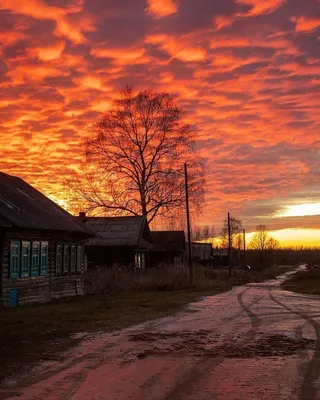 Закат в деревне - фото автора Hornet на сайте Сергиев.ru