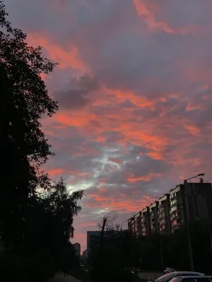 Туляки делятся снимками нереально красивого заката - Новости Тулы и области  - MySlo.ru
