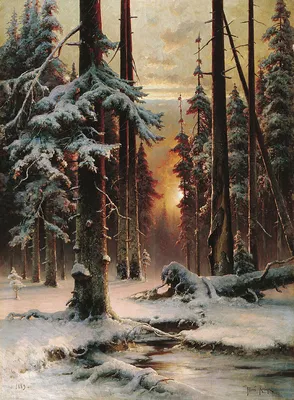 Фото дня: закат в зимнем лесу в Сыктывкаре