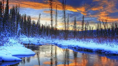 Бесплатное изображение: лучи солнца, восход, тень, с подсветкой, деревья,  лес, рассвет, пейзаж, закат, дерево
