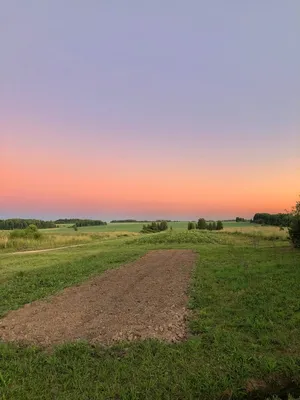 Природа : Закат на поле пшеницы (панорамная)