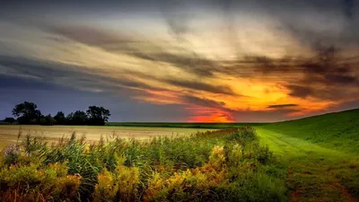 Обои закат, поле, трава, небо, тучи, sunset, field, grass, sky, clouds, 4k,  Природа #16130