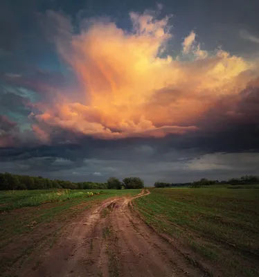 Закат в поле. Фотограф Смольский Евгений