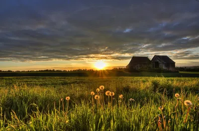 Закат на сельскохозяйственном поле летом | Премиум Фото
