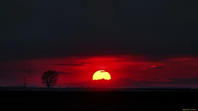 Обои Красный закат Природа Восходы/Закаты, обои для рабочего стола,  фотографии красный закат, природа, восходы, закаты, закат, горизонт, солнце  Обои для рабочего стола, скачать обои картинки заставки на рабочий стол.