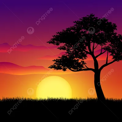 Закатное небо эстетика заката на реке золотой час тени на облаках оранжевое  солнце | Пейзажи, Золотой час, Закаты