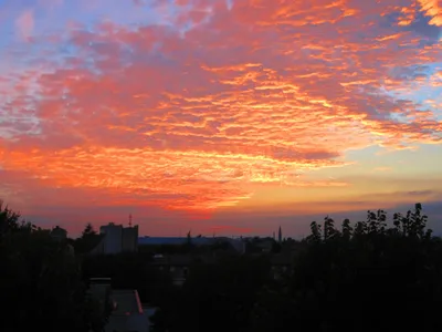 Закат солнца сегодня просто бомбический | Сияй, Ташкент! | Дзен
