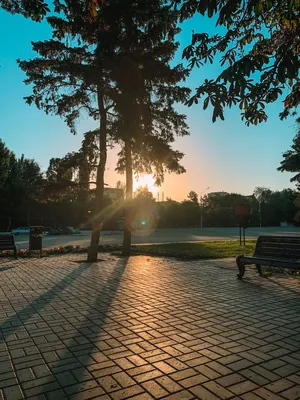 Свердловчан ждёт самый ранний восход Солнца в году: Общество: Облгазета