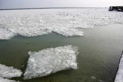 На дне замёрзшего прозрачного озера…» — создано в Шедевруме