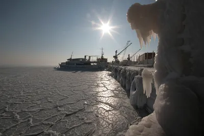 Черное море замерзло впервые за 30 лет (фото) | STENA.ee