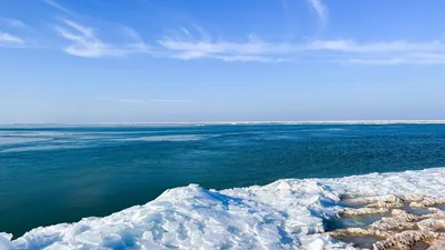 Одесские моржи купаются в замерзшем Черном море - Новости Одессы | Сегодня
