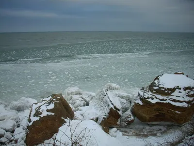 Лисички взяли спички: взорвется ли Черное море?