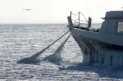 Черное море заледенело впервые за 30 лет - газета «Кафа» новости Феодосии и  Крыма