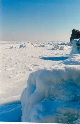 Лисички взяли спички: взорвется ли Черное море?