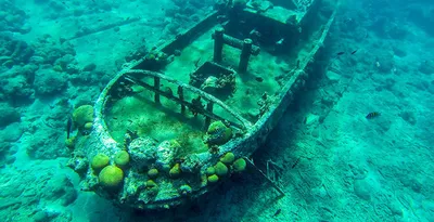 6 живописных кладбищ затонувших кораблей - Рамблер/новости