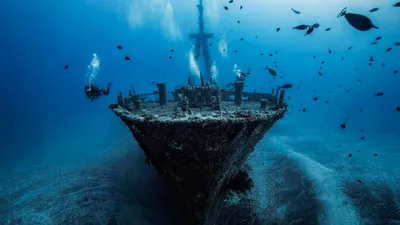 Океанологи из США нашли на дне Мексиканского залива остов затонувшего  корабля XIX века