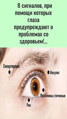 Ясный взгляд на здоровье глаз: советы опытных офтальмологов | Солянка  мыслей | Дзен