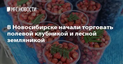 Полевая земляника» — создано в Шедевруме