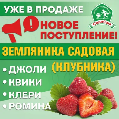 Клубника (земляника садовая), рассада, 30 шт, Клери, Камароса, Элиана - по  10 шт. — купить в интернет-магазине по низкой цене на Яндекс Маркете