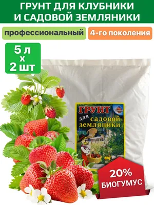 Земляника ремонтантная Руяна 0,04 г, шт АСТ / семена земляники садовой для  посадки на подоконнике АГРОСИДСТРЕЙД 80174000 купить за 135 ₽ в  интернет-магазине Wildberries