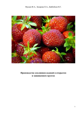 Земля для рассады клубники и земляники садовой и домашней с биогумусом 10 л  - купить по низкой цене в интернет-магазине OZON (652067127)