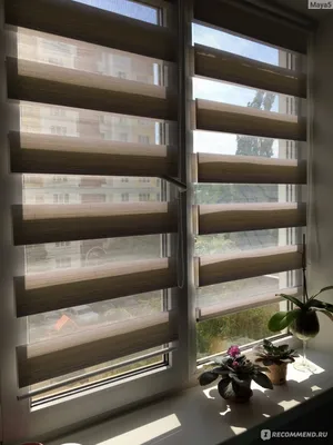 Сангард Рулонные жалюзи День Ночь 70 см шторы на окна в гостиную