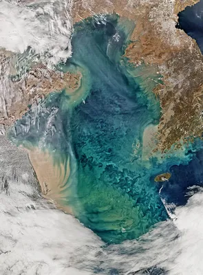 GISMETEO: Спутник сделал фантастический снимок Желтого моря - События |  Новости погоды.