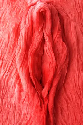 Рисование женских половых губ в повязке. Иллюстрация вектора - иллюстрации  насчитывающей объектив, стекло: 192369287