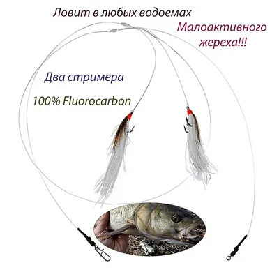 🐟 Досье на ЖЕРЕХА. Все о хищнике! Ставьте лайк 😉 | Охотник и Рыболов |  Дзен