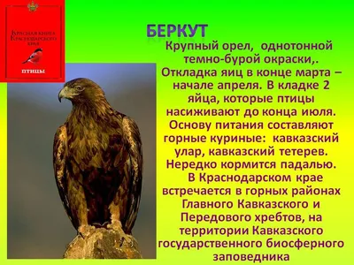 Редкие и исчезающие виды животных Краснодарского края» — МБУ Библиотека  Первомайского Сельского Поселения