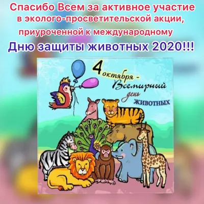 Животные полумертвы, ветеринаров нет: закрыть сафари-парк в Краснодаре  требуют горожане - PrimaMedia.ru