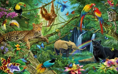 Животные живущие в тропическом лесу - 64 фото