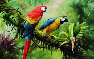 Фото животных тропических лесов фото
