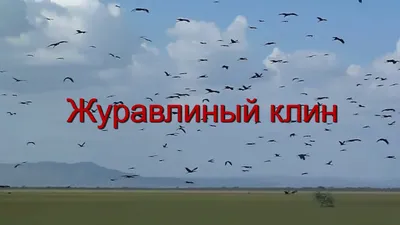 Их журавлиный клин (Сергей Саблин) / Стихи.ру