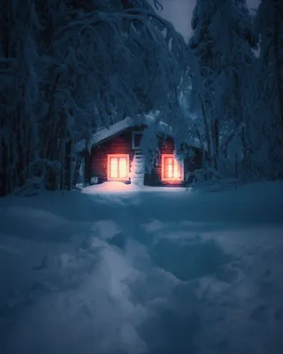 Зима в лесу. Фотограф Чиж Андрей