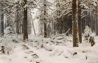 Зима в лесу , профессиональное фото…» — создано в Шедевруме