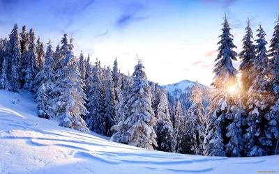Зима в лесу стоковое фото. изображение насчитывающей гора - 147850572