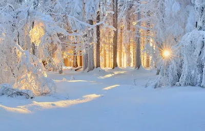 Зима в Сибири (40 фото) - 40 фото