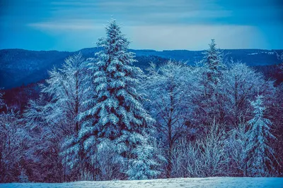Красивый зимний вид (47 фото) - 47 фото