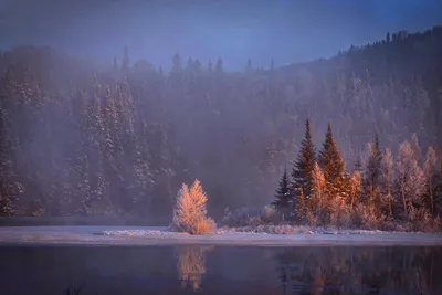 Зимний лес у пруда HD загрузка обоев