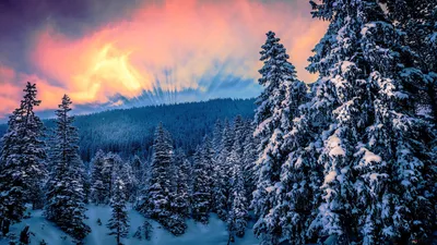 Идиллический зимний пейзаж в Альпах стоковое фото ©Creativemarc 10487438