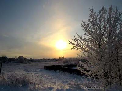 10 лучших фотографии зимнего заката от моих читателей | Люблю жизнь и  фотографирую | Дзен