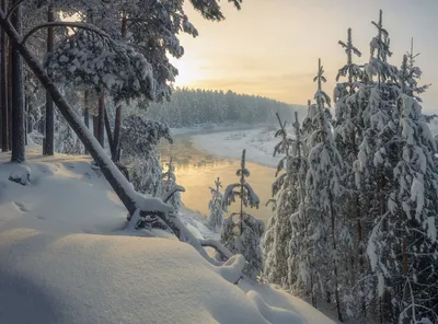 зимний закат | Светлана Балынь | Flickr