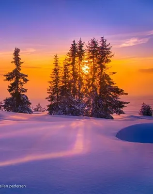 Фотография Зимний закат из раздела пейзаж #7216218 - фото.сайт - sight.photo