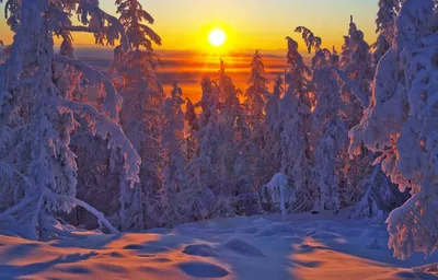 Мягкий свет зимнего заката. Фотограф Смольский Евгений