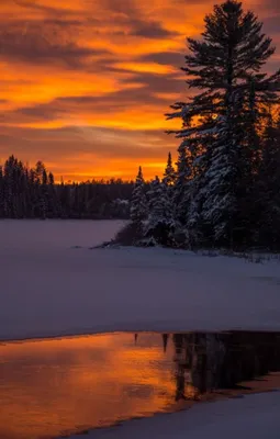 Золото зимнего заката... :: Лия ☼ – Социальная сеть ФотоКто